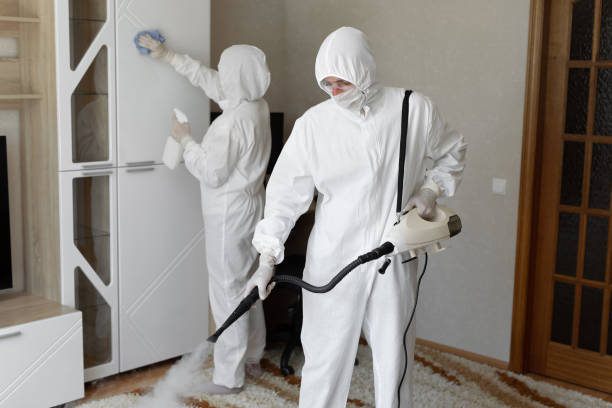 Best Mold Cleaning Services  in West Van Lear, KY