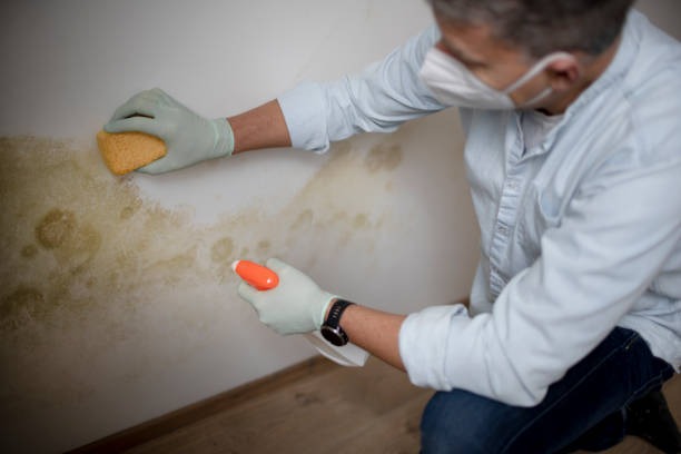 Water Damage Restoration in West Van Lear, KY