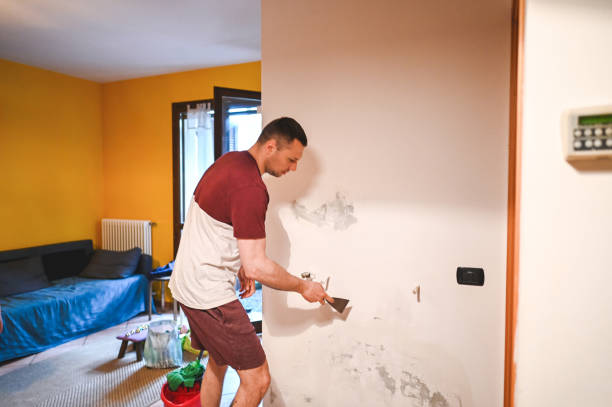 Best Local Mold Removal Service  in West Van Lear, KY